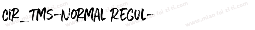 Cir_tms-Normal Regul字体转换
